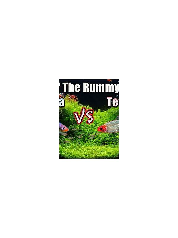 Rummy Comparison: Aggressive Completion Versus Controlled Reduction