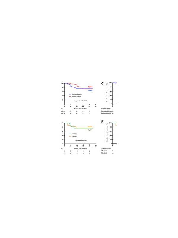 Rummy Comparison: Natural Groups Versus Provisional Groups