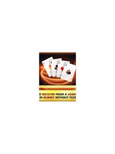 Rummy Guide: Recover from an Interrupted Session