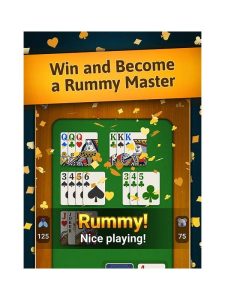 Rummy Plan Language: Describe