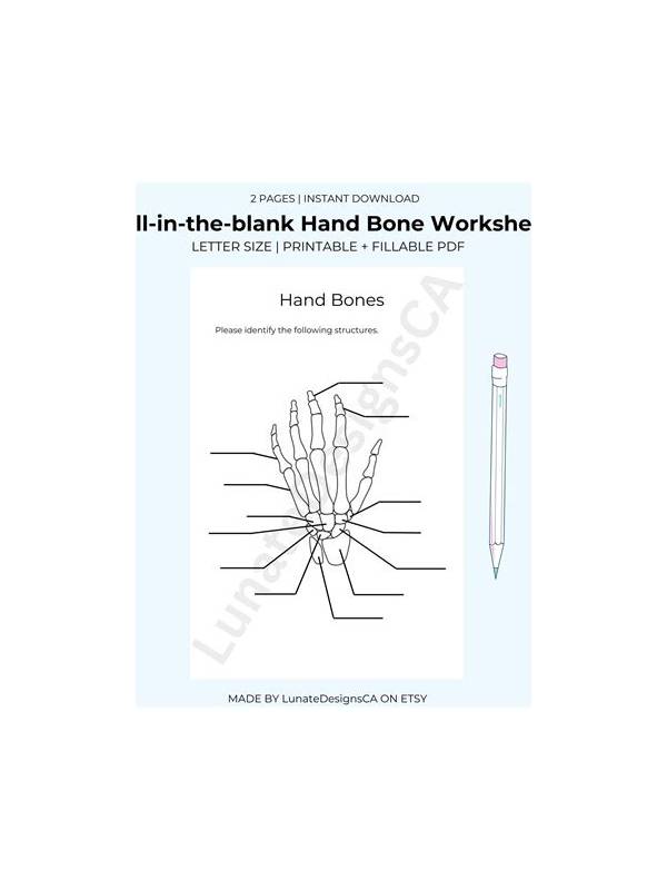 Rummy Practice: Use a Blank Hand Worksheet